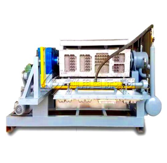 Egg Carton Making Machine
