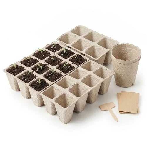Indoor Planting Trays
