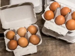 Paper-Egg-Cartons.webp
