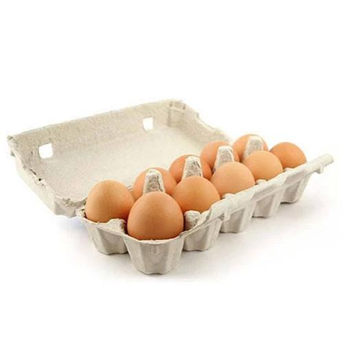 Paper Egg Cartons