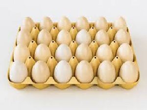 egg carton egg carton