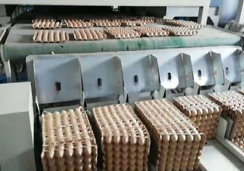 12-Side Egg Tray Making Machine 12-Side Egg Tray Making Machine