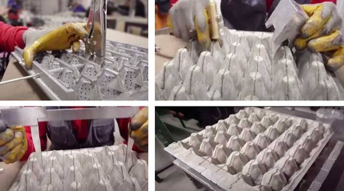Paper egg carton molds and wet molded carton forming stages Paper egg carton molds and wet molded carton forming stages