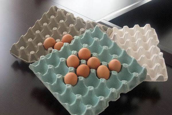 egg-tray.jpg